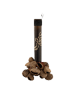 Pearl PBPGBH12" Pangi Nut Shaker with Bamboo Handle