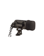 RØDE Stereo VideoMic on-camera stereo microphone with XY condenser capsules, shock mount, and 3.5mm output for DSLR video recording