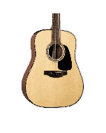 Takamine GLD12E-NS Short Scale Spruce Top Dreadnought