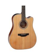 Takamine GD20CE-NS Solid Cedar Top Dreadnought Cutaway