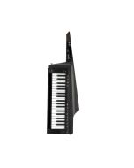 KORG RK-100S 2 KEYTAR Synthesizer - Black