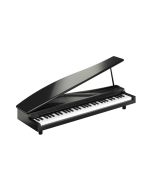 Korg microPiano Digital Piano - Black