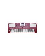 KORG PA500 PERSIAN Professional Arranger Keyboard