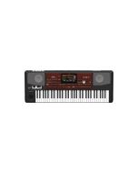 Korg Pa700 Oriental 61-Key Professional Arranger Keyboard