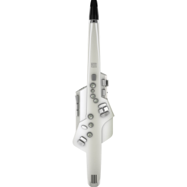 Roland Aerophone AE-10 Digital Wind Instrument | Gigstore