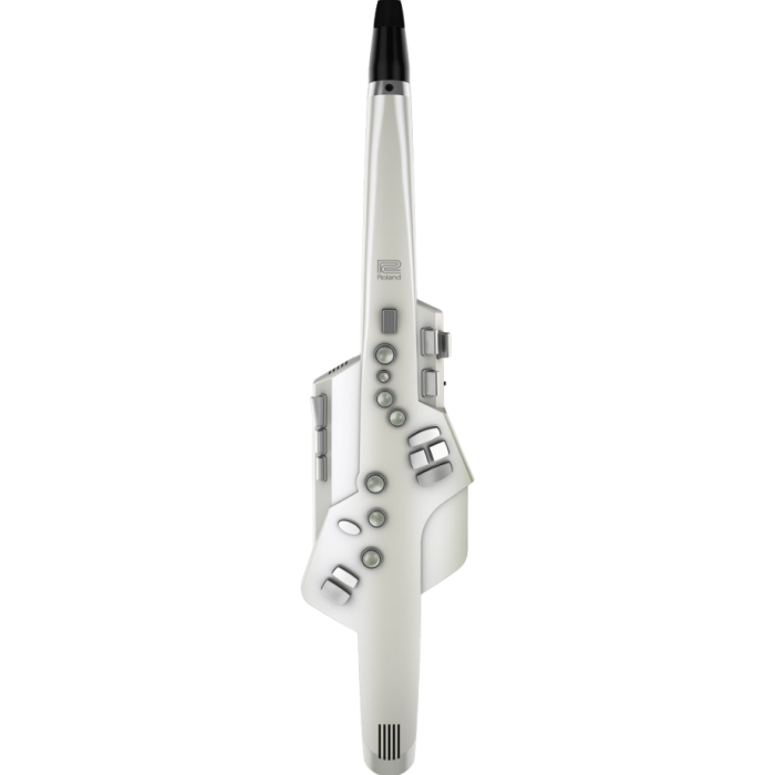 DTM・DAW Roland Aerophone AE-10 Roland Aerophone AE-10 Digital Wind Instrument | Gigstore