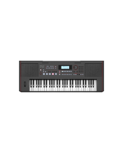 Roland E-X50 61-key arranger keyboard with Bluetooth audio, 300 accompaniment styles, built-in stereo speakers and microphone input for live performance and practice