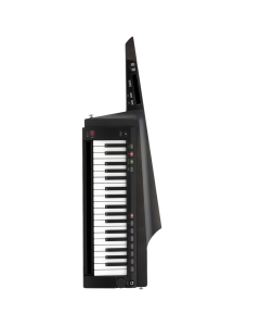 Korg RK-100S 2 37-Key Keytar Synthesizer - Translucent Black