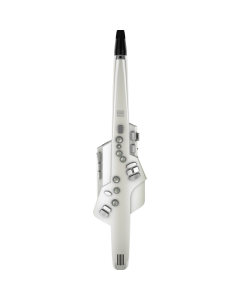 Roland Aerophone AE-10 Digital Wind Instrument