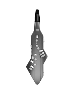 Roland Aerophone AE-10 Digital Wind Instrument | Gigstore