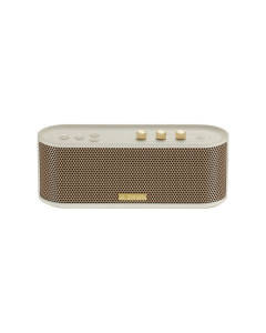 Roland BTM-1 Bluetooth Speaker with Instrument Input