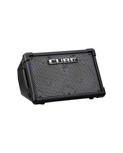Roland CUBE Street EX Portable Battery Powered Stereo Amplifier