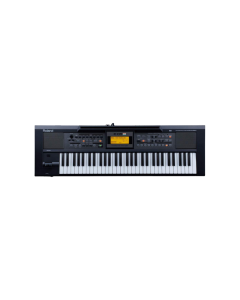 Roland E-09IN Indian Edition Interactive Arranger Keyboard