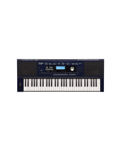 Roland E X30 61 key arranger keyboard with built in speakers auto accompaniment styles tones MP3 playback and portable beginner music instrument