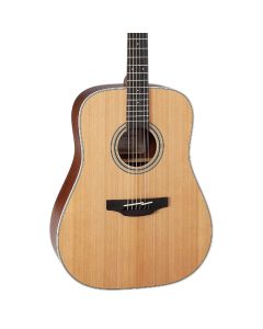 Takamine GD20-NS Solid Cedar Top Dreadnought Acoustic