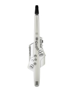 Roland Aerophone AE-10 Electronic Wind Instrument