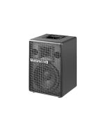 Montarbo 210 passive 2 way PA speaker professional cabinet front view