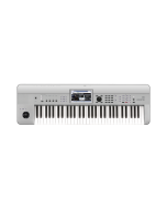 Korg KROME 61 Platinum Special Edition Music Workstation Keyboard
