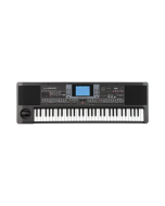 Korg microARRANGER 61-Key Arranger Keyboard