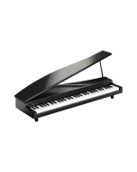 Korg microPiano 61-Key Digital Piano - Black
