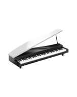 Korg microPIANO 61-Key Digital Piano White - Rental