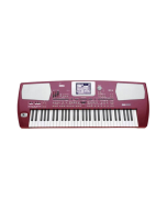 Korg Pa500 Persian 61-Key Professional Arranger Keyboard