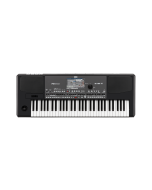 Korg Pa600 61-Key Professional Arranger Keyboard