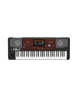 Korg Pa700 ORIENTAL Professional Arranger Keyboard