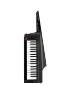 Korg RK-100S 2 37-Key Keytar Synthesizer - Translucent Black