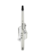 Roland Aerophone AE-10 Digital Wind Instrument