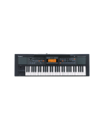 Roland E-09 61-Key Interactive Arranger Keyboard