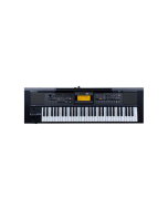 Roland E-09IN Indian Edition Interactive Arranger Keyboard