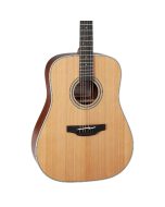Takamine GD20-NS Solid Cedar Top Dreadnought Acoustic