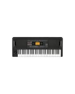 KORG EK50 61-keys Entertainer Keyboard
