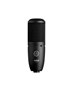 AKG P120 Large-Diaphragm Condenser Microphone