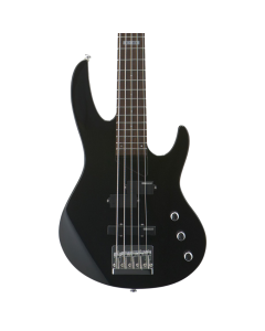 ESP LTD B-55 5-String Electric Bass Guitar - Black