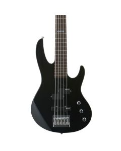 ESP LTD B-55 5-String Bass Guitar, Black 